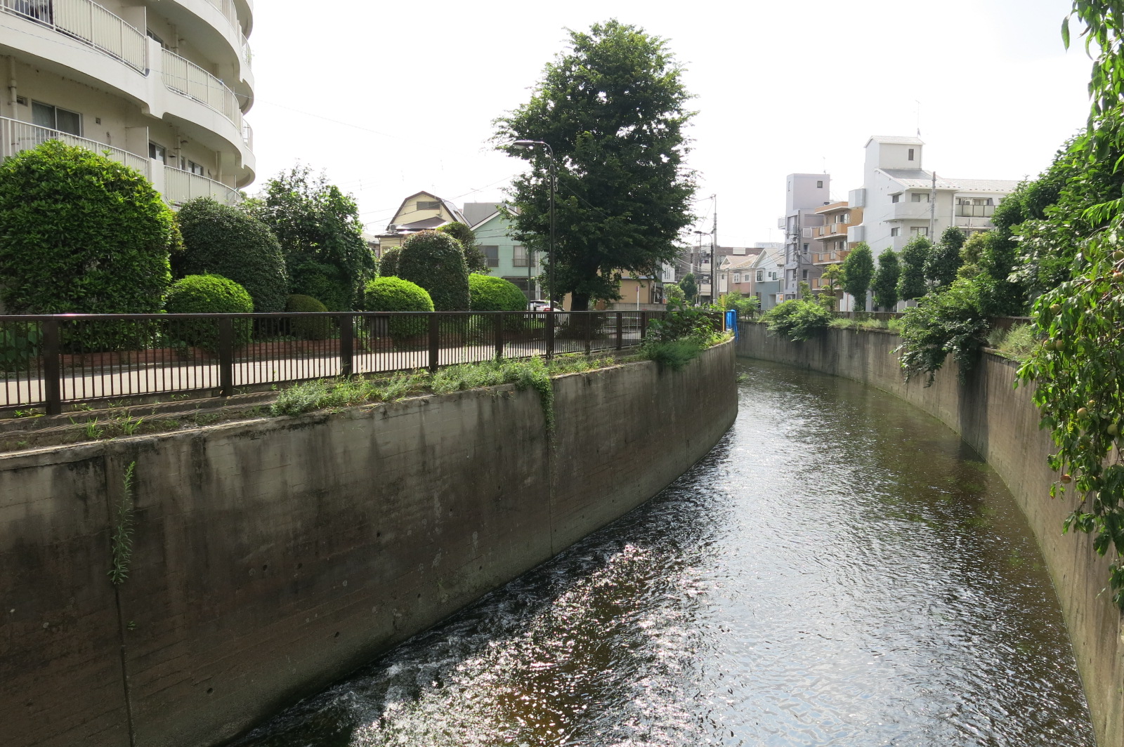 南区南浦和　禅味 一茶庵　手打ちそば